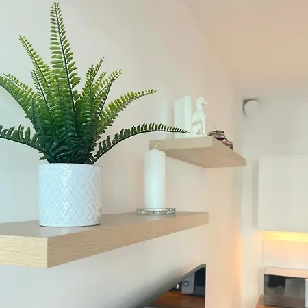 Apartment Spirit Mester Gardens